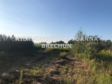 Brzezia Łąka, 275 000 zł, 10.54 ar, budowlana