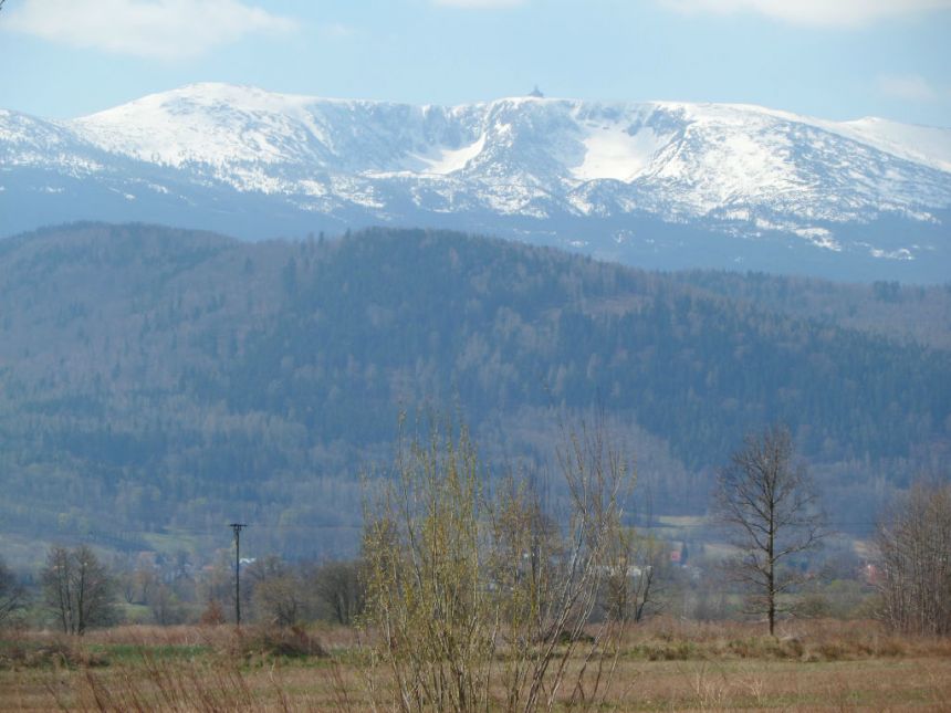 Wojcieszyce, 402 000 zł, 50.2 ar, prostokątna miniaturka 4