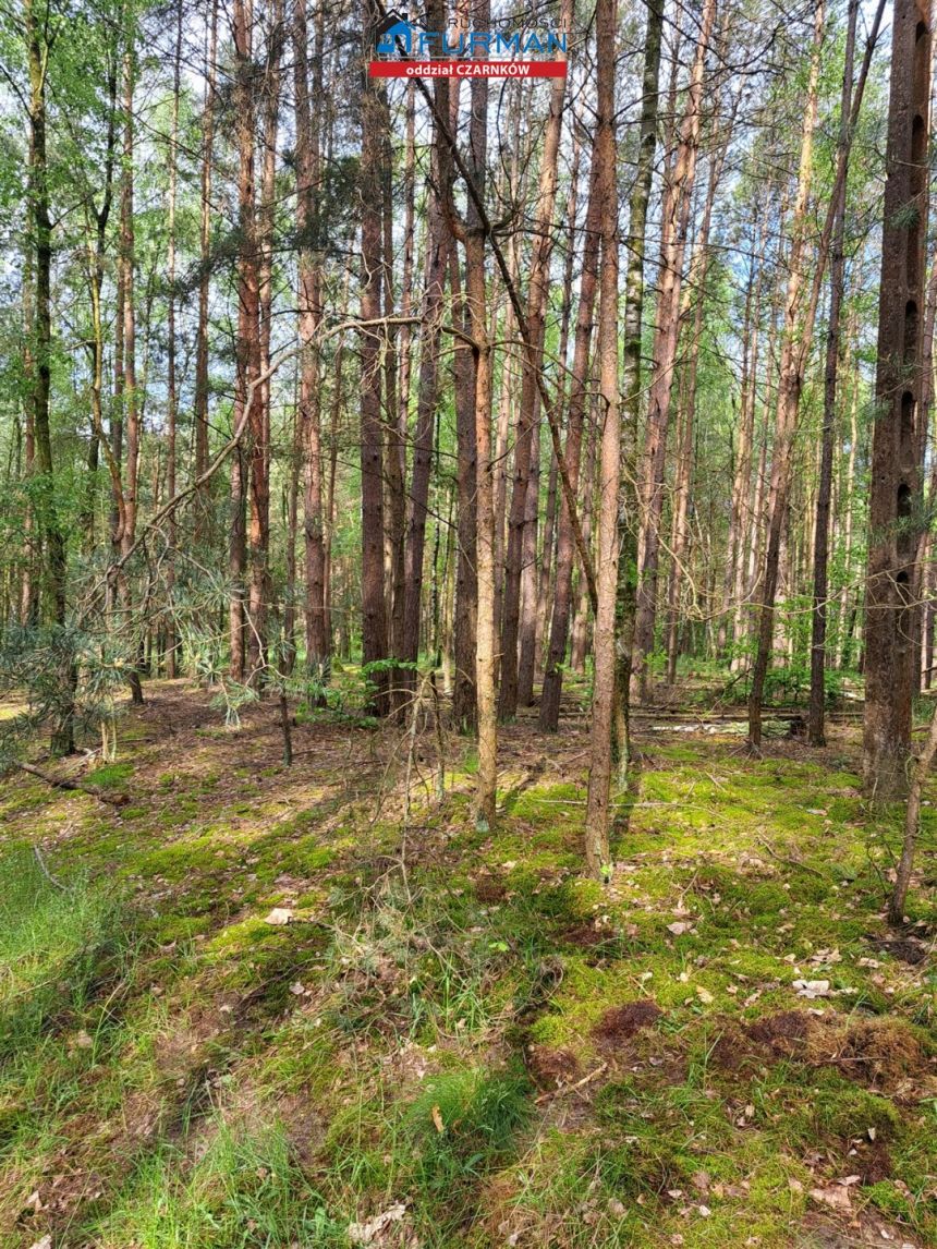 działka siedliskowa na sprzedaż w Antoniewie miniaturka 9