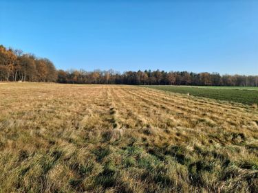 Do sprzedaży 5 działek przy ul. Mikołowskiej Tychy