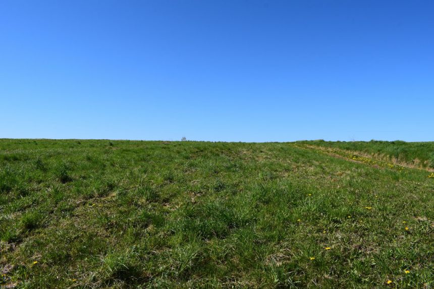 Działka 35.6a pod rekreację w miejscowości Wydrna miniaturka 5
