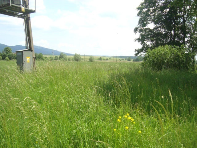 Mieroszów, 112 000 zł, 25.05 ar, przyłącze kanalizacji miniaturka 4