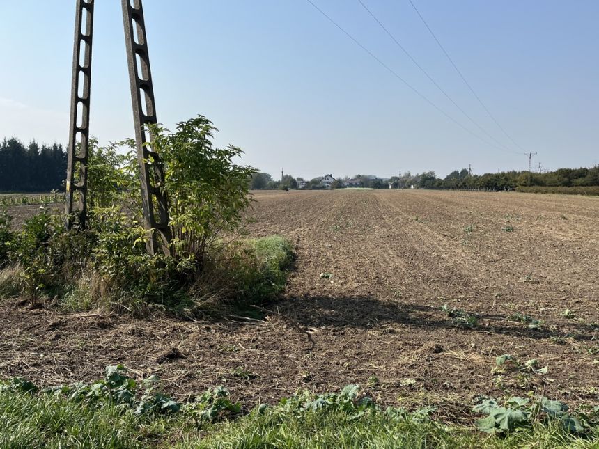 Działka rolno-budowlana 0,62 ha w Gołębiu k/Puław. miniaturka 7