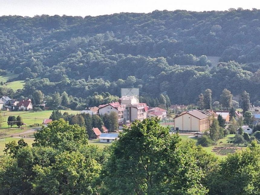 Wzgórze pod lasem w Huwnikach miniaturka 8