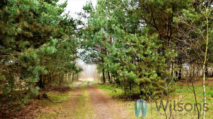 Ludwinów, 93 900 zł, 12.52 ar, rekreacyjna miniaturka 3