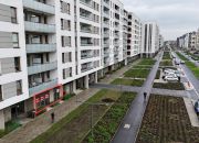 Lokal na wynajem Ursus miniaturka 1