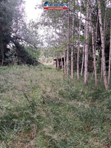 działka na sprzedaż w Miałach gmina Wieleń