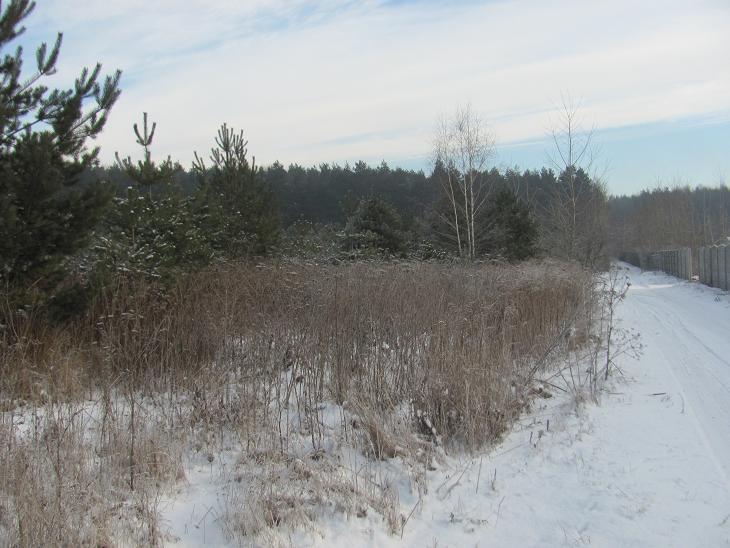 Dąbrowa Górnicza Trzebiesławice, 520 000 zł, 3.3 ha, przyłącze wodociągu miniaturka 5