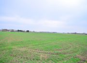 Gorzów Wielkopolski, 550 000 zł, 79.68 ar, kwadratowa miniaturka 5