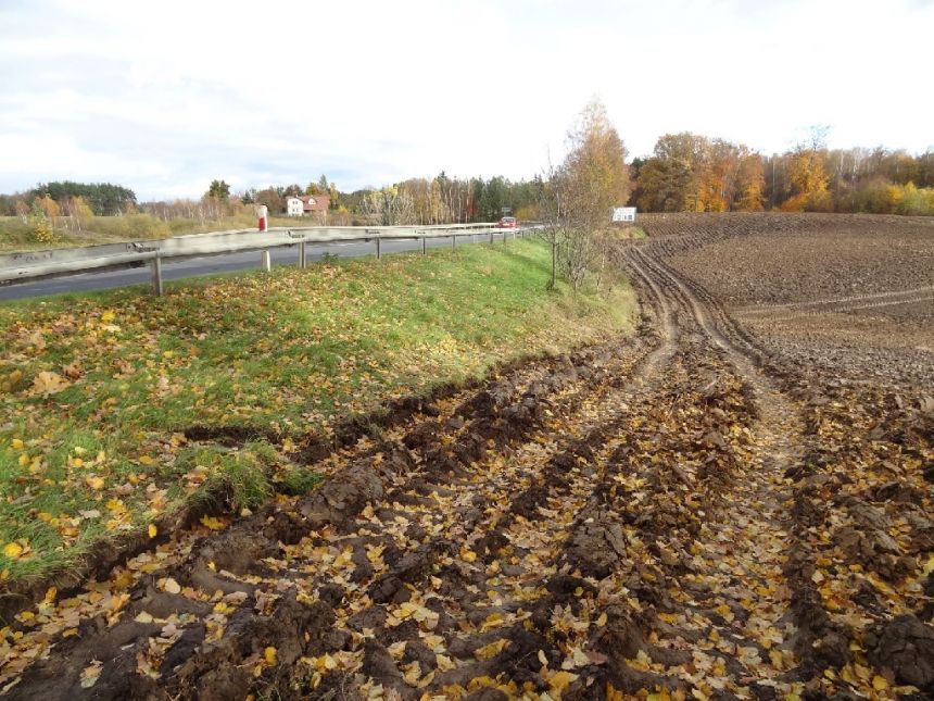 Błądzim, 250 000 zł, 1 ha, rolna miniaturka 5