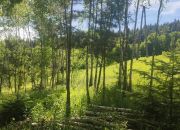 Działka budowlana- Tropie- Gródek nad Dunajcem miniaturka 7