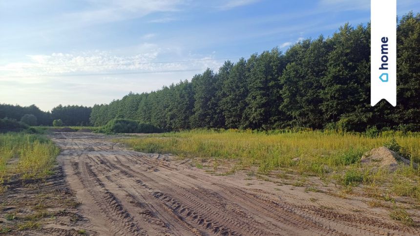 Urokliwa Działka w Kopaninie koło Torunia miniaturka 2