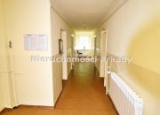 Lokal pod działalność biurową/usługową miniaturka 6