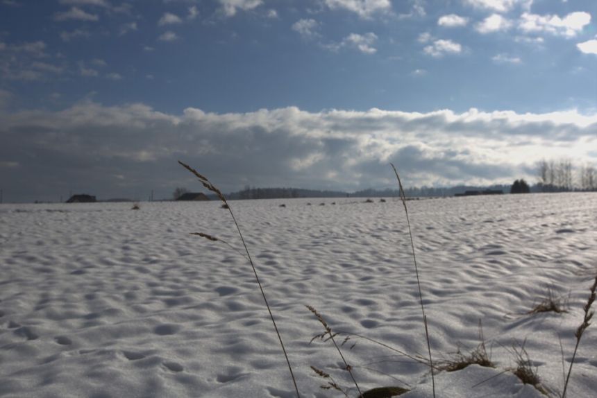 Działka rolno - budowlana (1,61ha) w Ołpinach! miniaturka 4
