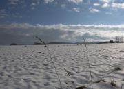 Działka rolno - budowlana (1,61ha) w Ołpinach! miniaturka 4