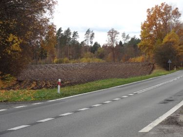 Błądzim, 250 000 zł, 1 ha, rolna