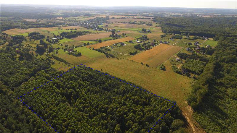 Działka budowlana - Sopieszyno - zdjęcie 1