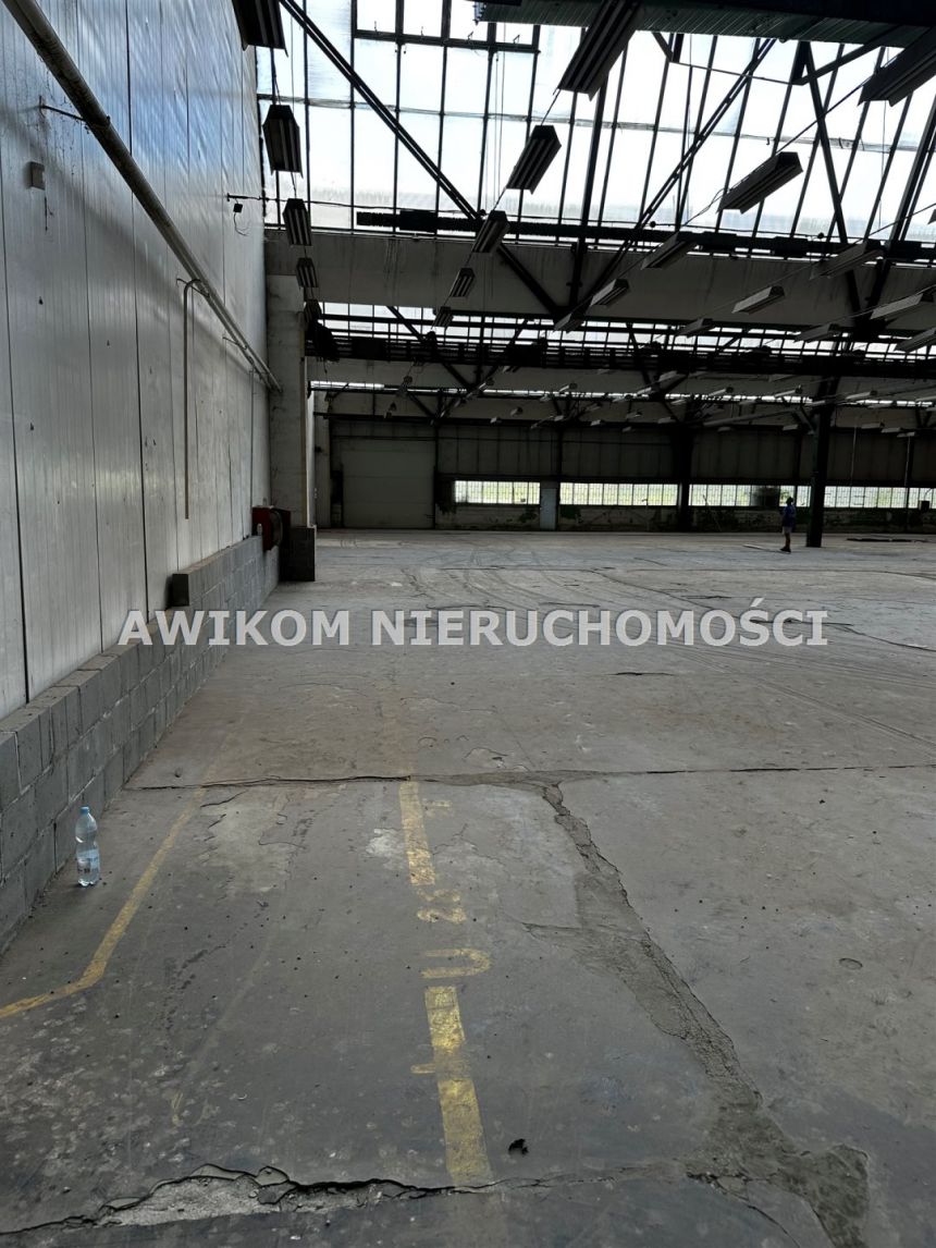 Błonie, 1 560 000 zł, 1300 m2, produkcyjno-magazynowy - zdjęcie 1