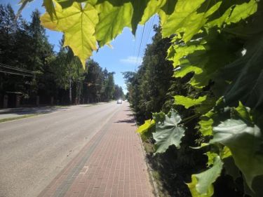 przy Duchnowskiej pod rezydencję lub dwa lokale
