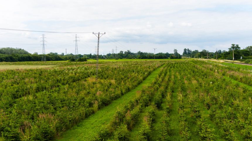 Działka inwestycyjna - wysoki  i szybki zysk miniaturka 7