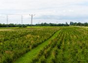Działka inwestycyjna - wysoki  i szybki zysk miniaturka 7