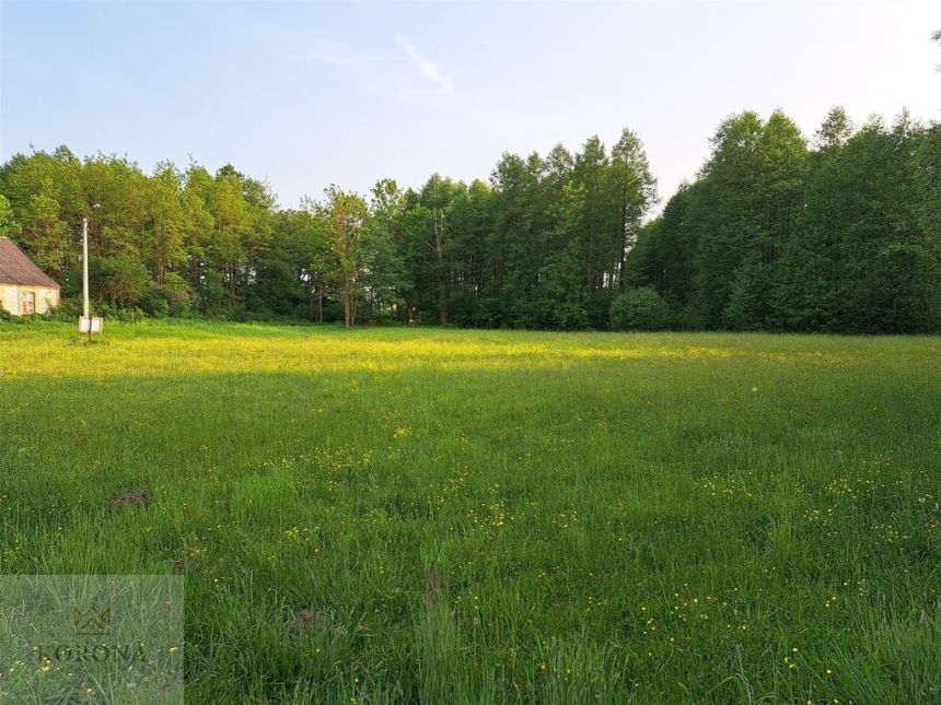 Działka nad  jeziorem Dreństwo miniaturka 12