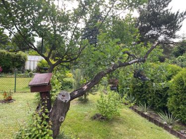 Łódź Żabieniec, 55 000 zł, 32.02 ar, rekreacyjna