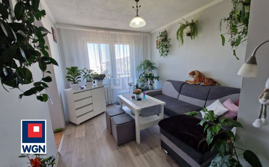 Trzebień, 249 000 zł, 62.5 m2, M3 - zdjęcie 1