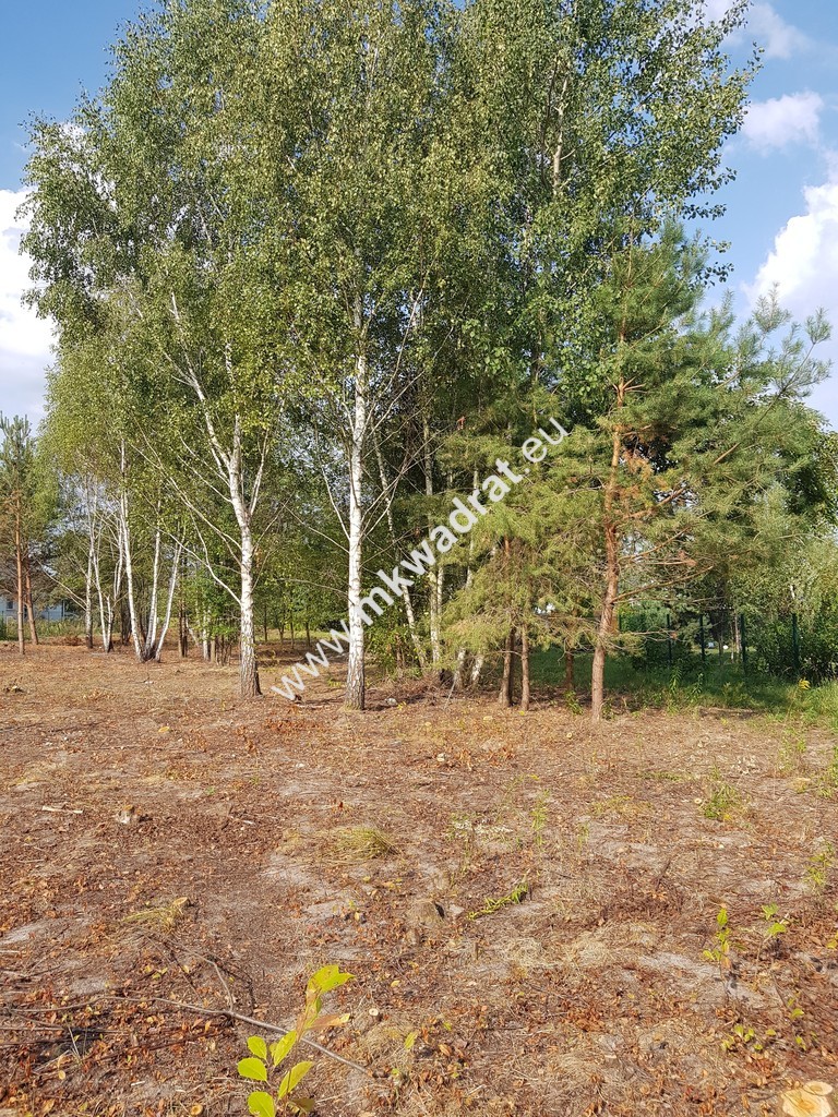 Budowlana DZIAŁKA DO PODZIAŁU pod domy 2 lokalowe - zdjęcie 1