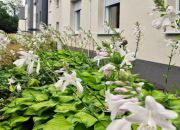 W REALIZACJI 08.2025/Mieszkanie 2 pok, 50,5m2 + balkon / Wrocław, Księże Wielki miniaturka 17
