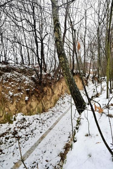 Działka bud. w Piotrowicach tuż pod Nałęczowem