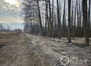 Sierzchów, 843 200 zł, 1.05 ha, droga dojazdowa gruntowa miniaturka 4