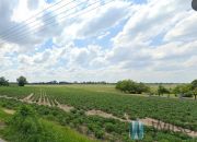 Kopytów, 2 400 000 zł, 1.67 ha, droga dojazdowa asfaltowa miniaturka 5