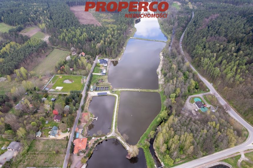 Dom 260m2, łowisko rybne 10ha, Komórki, Daleszyce miniaturka 29