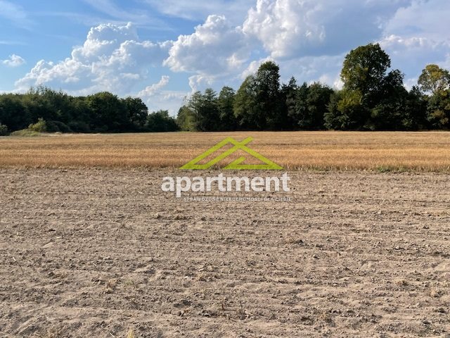 Radgoszcz, 249 000 zł, 5.32 ha, przyłącze wodociągu miniaturka 31