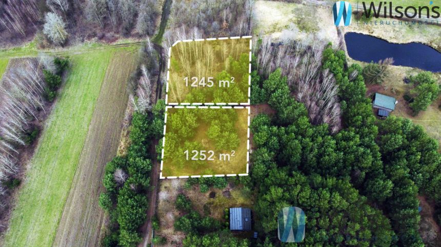 Ludwinów, 93 900 zł, 12.52 ar, rekreacyjna miniaturka 7