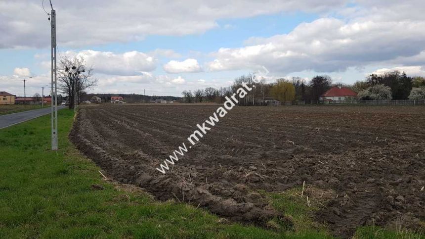 Okazja Działki Leszno k/Błonia miniaturka 5