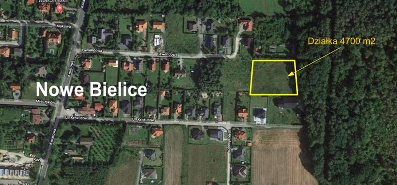 Działka przy lesie, 4700 m2, Nowe Bielice miniaturka 2