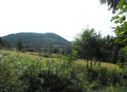Boguszów-Gorce, 550 000 zł, 8 ha, o zróżnicowanym ukształtowaniu terenu miniaturka 4