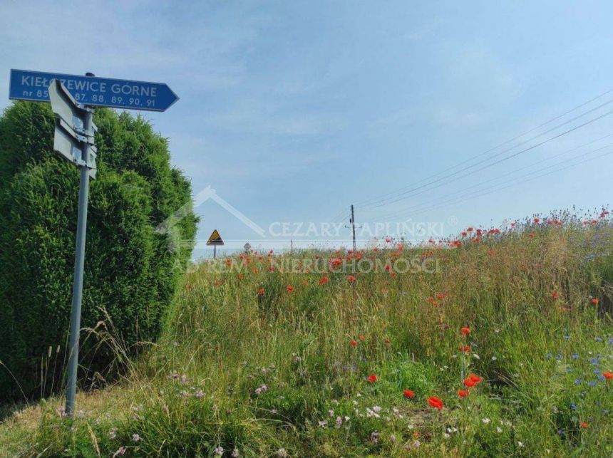 Siedlisko piękne, 25km od Lublina  budynki, ziemia miniaturka 8