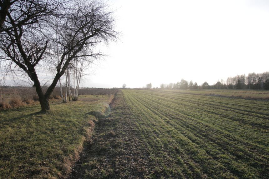 Działka budowlana blisko Lubartowa tylko 4 km - zdjęcie 1