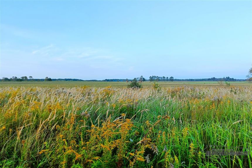 Działka letniskowa-budowlana nad jez. Wierzchowo. miniaturka 13