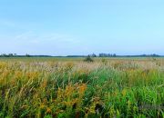 Działka letniskowa-budowlana nad jez. Wierzchowo. miniaturka 13