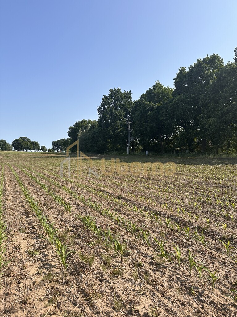 Działka w Radzanku–Gm.Maszewo war.zabud. miniaturka 3