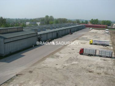 Szczucin, 50 700 zł, 3900 m2, ściany z płyt