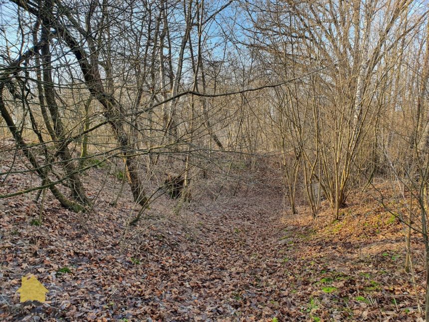 Do sprzedania siedlisko, pow.1ha, 35 km od Lublina miniaturka 14