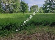 Piękna z Bukową Aleją wydane WZ 4 km od Sochaczewa miniaturka 1