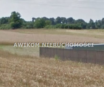 Działki siedliskowe 3400 m2 Pasikonie gm. Kampinos - zdjęcie 1