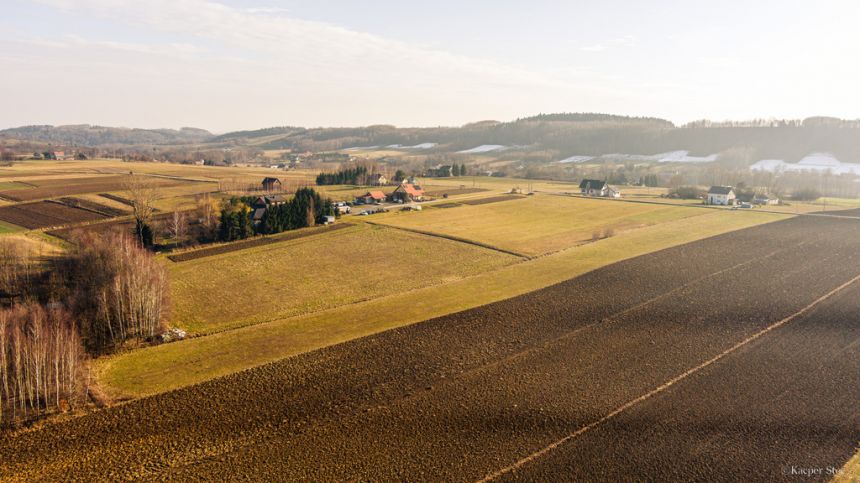 Działka rolna z lasem w Ołpinach - zdjęcie 1