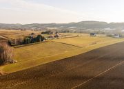 Działka rolna z lasem w Ołpinach miniaturka 1